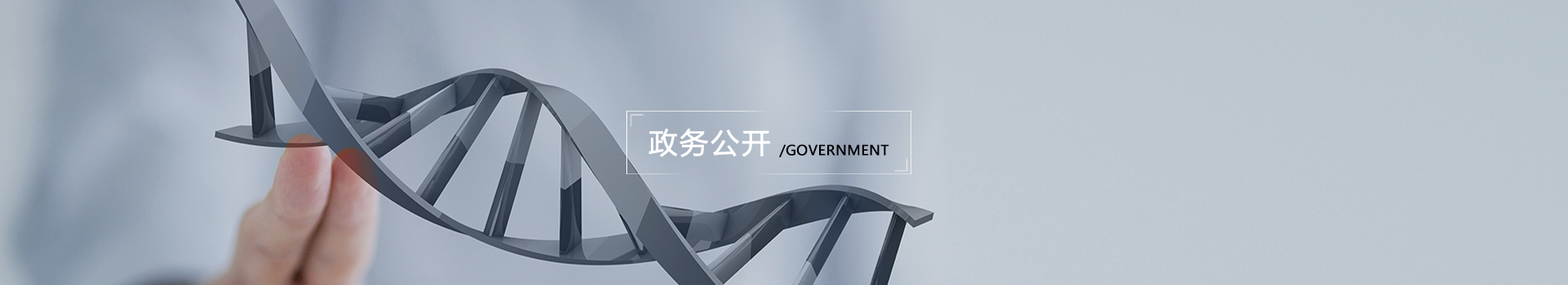 政务公开